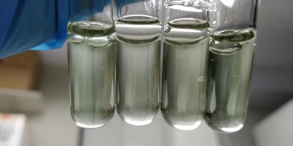 Teste da UFMG para diagnóstico de superfungo poderá ser utilizado no HPS de BH