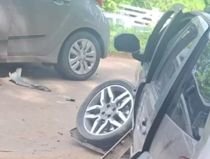 Animais na pista causam grave acidente entre Pedro Leopoldo e Matozinhos