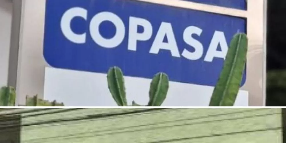 Governo de Minas envia à Assembleia propostas de privatização da Cemig e Copasa