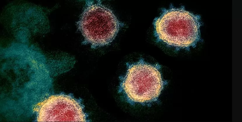 Belo Horizonte sedia Congresso Nacional sobre enfrentamento de superfungos e doenças infecciosas