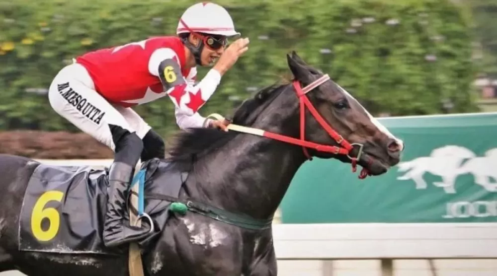 Ministério do Esporte regulamenta apostas em vaquejadas e provas com cavalos