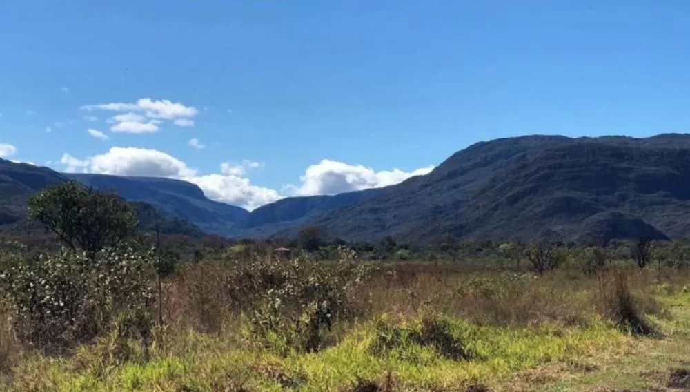 @parnadaserradocipo/Instagram