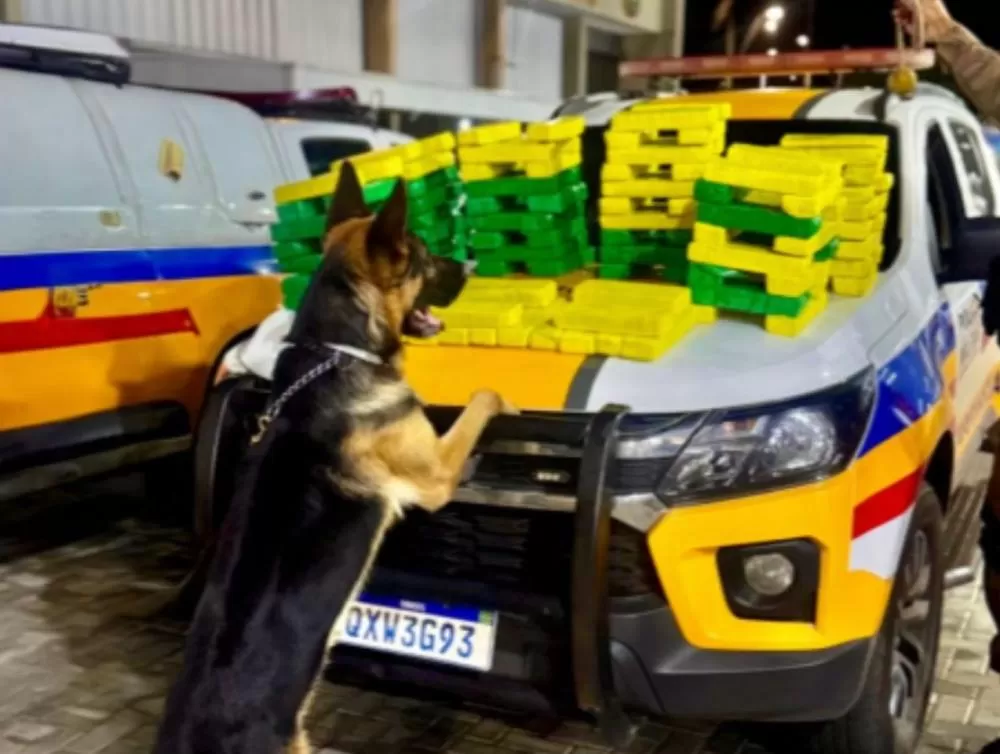 Polícia Militar apreende 118 barras de maconha e prende três homens em Belo Horizonte
