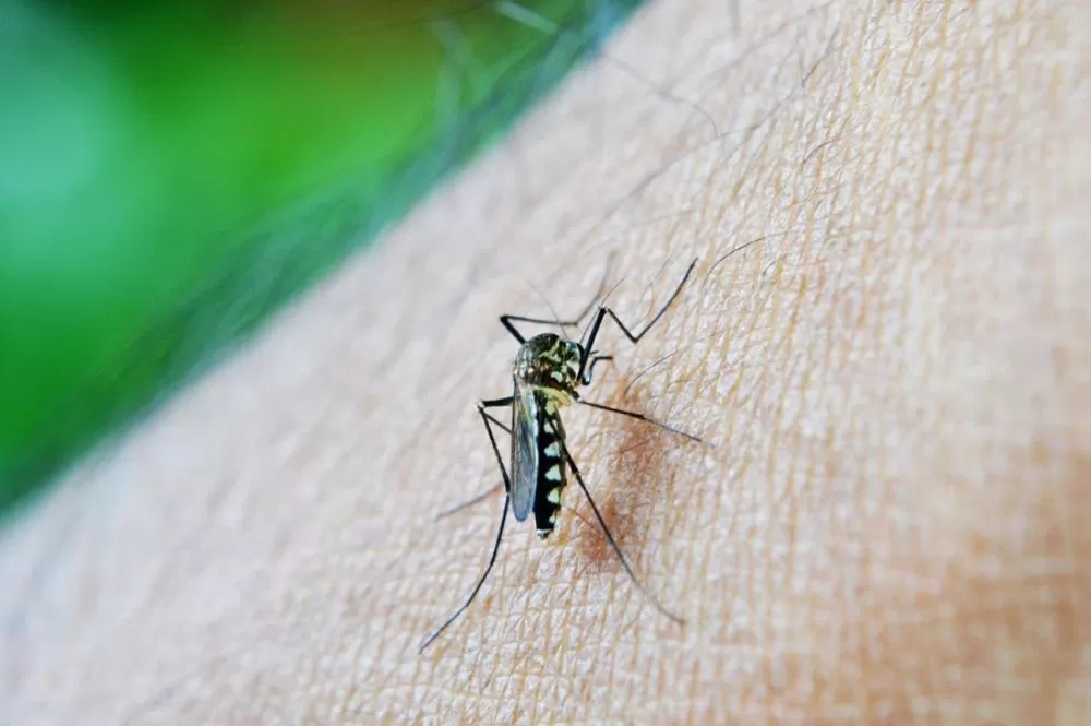 Minas Gerais registra terceira morte por dengue em 2025