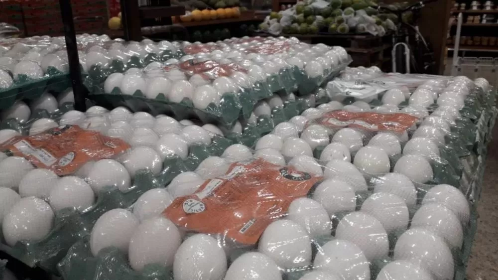 Preço dos ovos disparam na Grande BH com aumento de até 61% em um ano; revela pesquisa