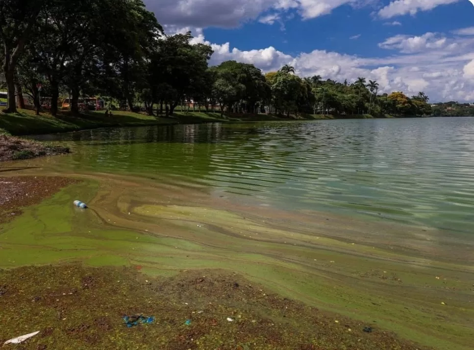 MPF solicita inclusão de BH em ação sobre danos ambientais na Lagoa da Pampulha