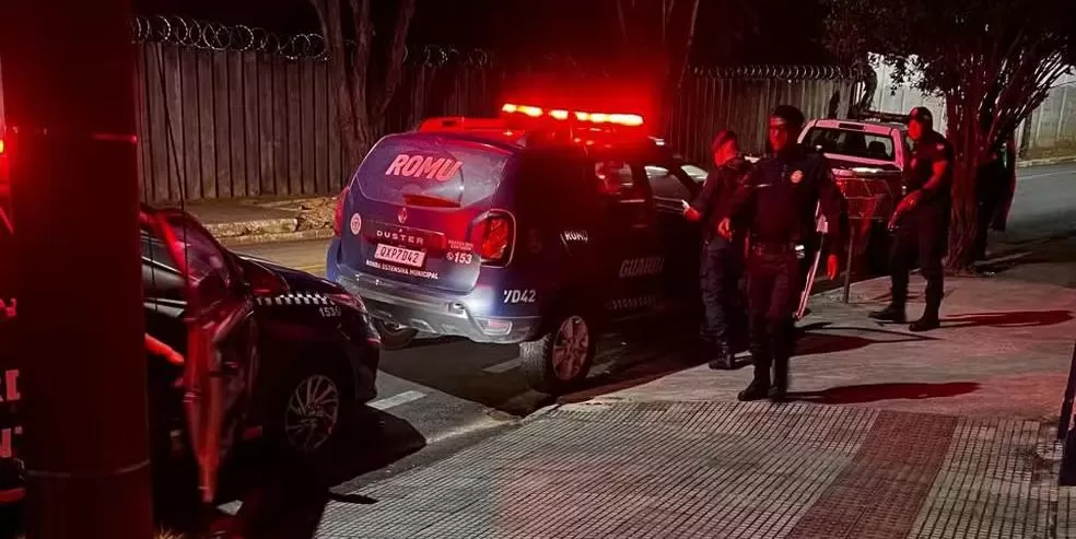 Médico de Contagem é suspeito de matar cão com pauladas e causar morte de filhotes