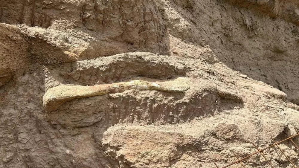 Foto: Ecovias Minas Goiás/Divulgação