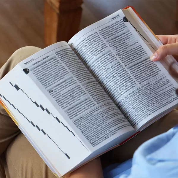 Vereadores de BH aprovam uso da Bíblia em escolas como material complementar