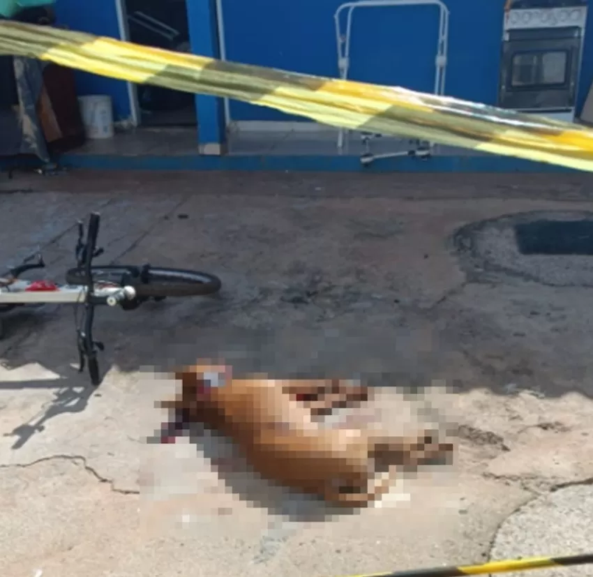 Mulher é morta por pit-bull dentro de casa e cachorro acaba abatido por vizinhos