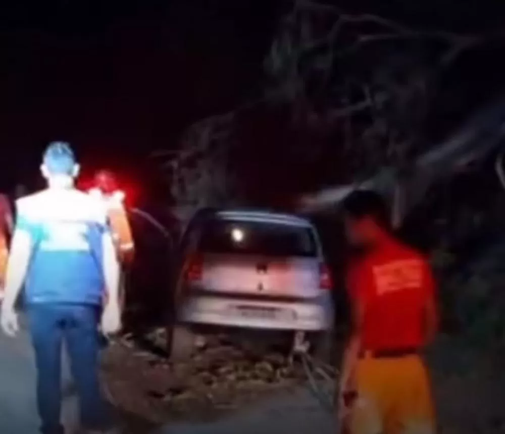 Árvore cai sobre carro na MG-424 e deixa quatro feridos em Pedro Leopoldo