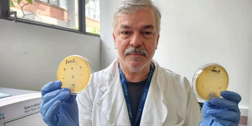 Cientistas descobrem 62 novos vírus com potencial para combater bactérias resistentes