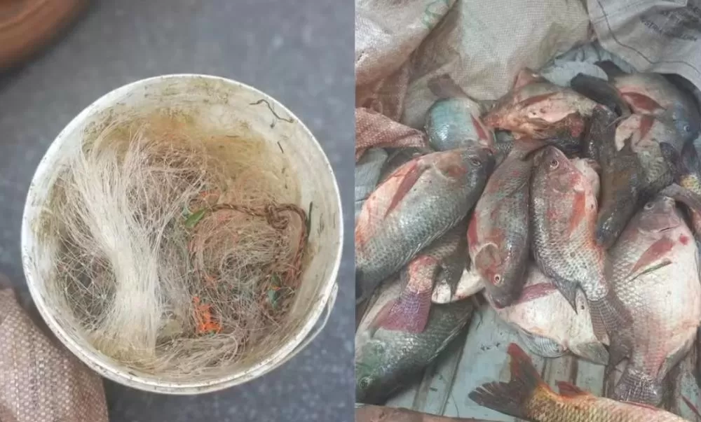 Três pessoas são presas por pesca ilegal na Lagoa da Pampulha em Belo Horizonte