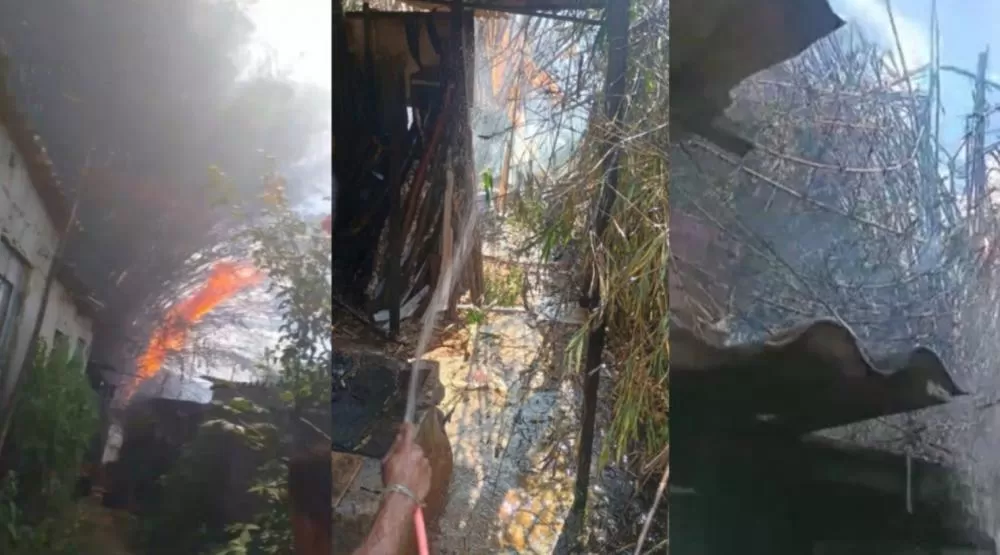 Fogos de artifício causaram incêndio em bambuzal e ameaçaram casas em Pedro Leopoldo