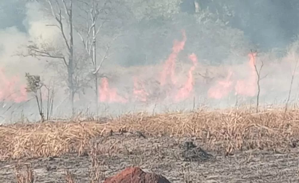 Incêndio consome 20 hectares em área rural de Pedro Leopoldo e destrói vegetação nativa