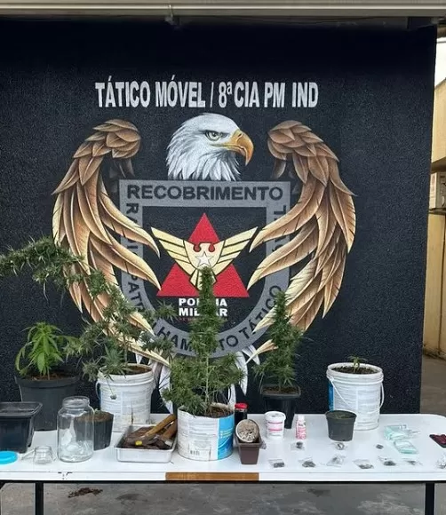 Mansão na orla da lagoa é alvo de operação policial por cultivo de maconha em Lagoa Santa