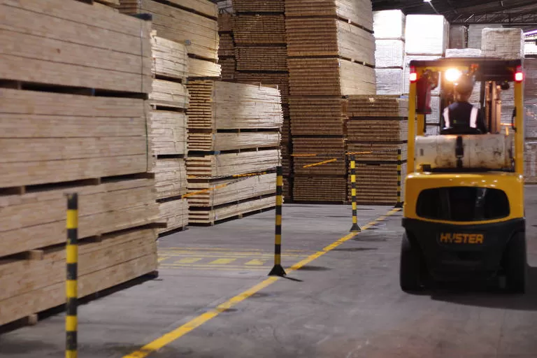 Setor de madeira no Brasil sofre com tarifaço de Trump e inicia demissões e férias coletivas