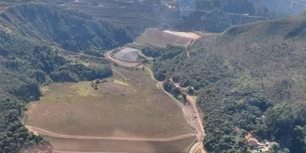 Animais também são retirados de área próxima a barragem em nível de emergência em Brumadinho