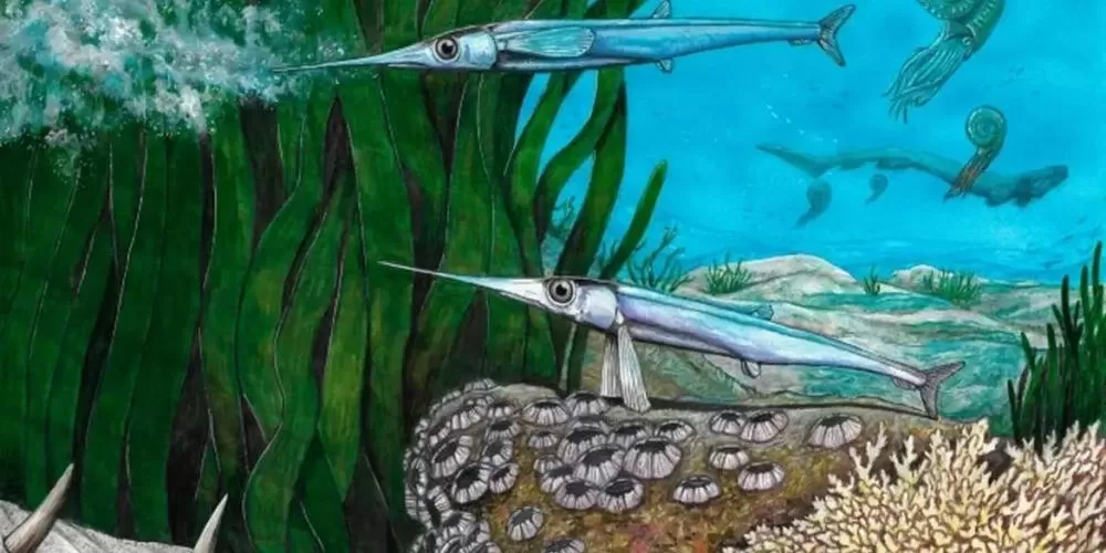 Cientistas brasileiros descobrem nova espécie de peixe pré-histórico na Antártica