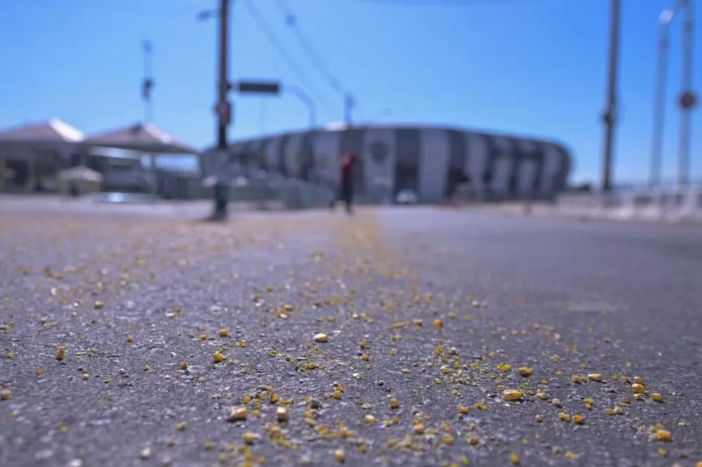 Arena MRV amanhece coberta de milho antes do clássico entre Atlético e Cruzeiro