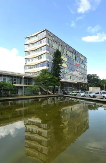Imunizante da UFMG bloqueia efeitos de cocaína e crack em estudos pré-clínicos