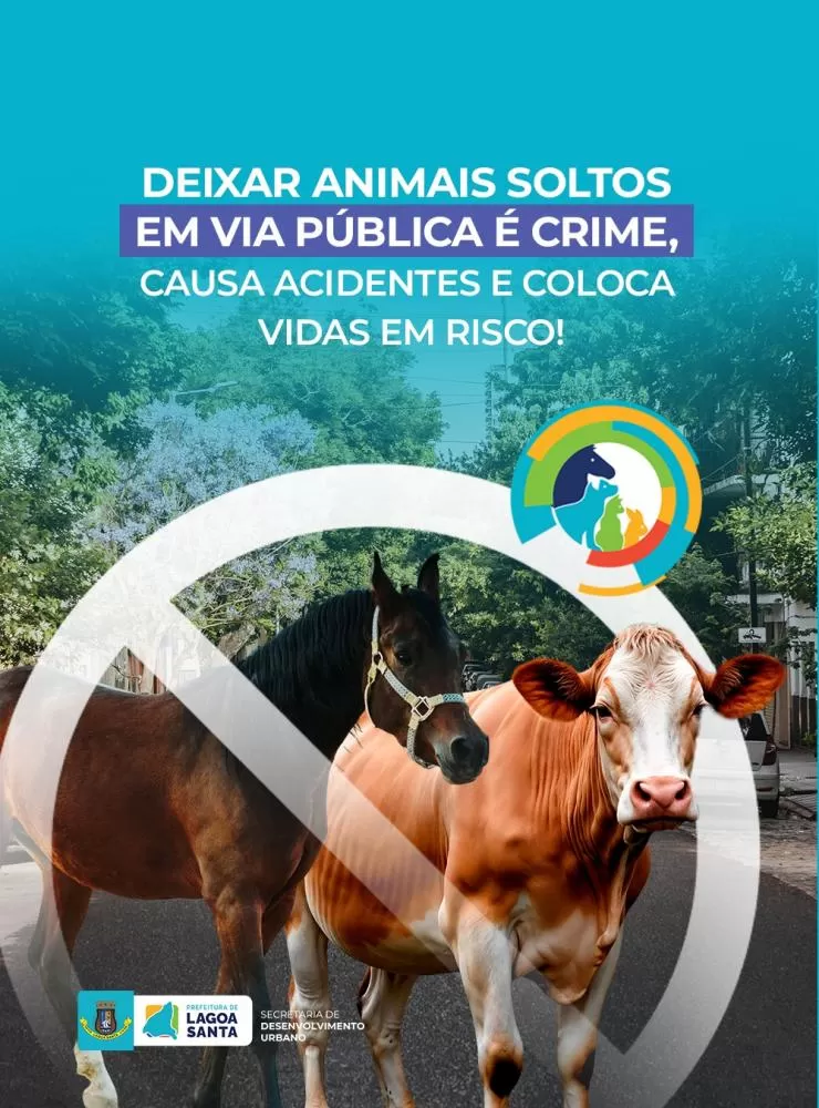 Lagoa Santa passa a recolher animais de grande porte soltos nas ruas