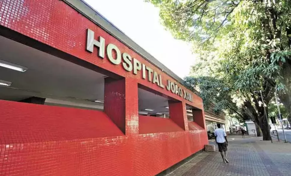Hospital João XXIII registra aumento de casos de picadas de abelhas em Belo Horizonte