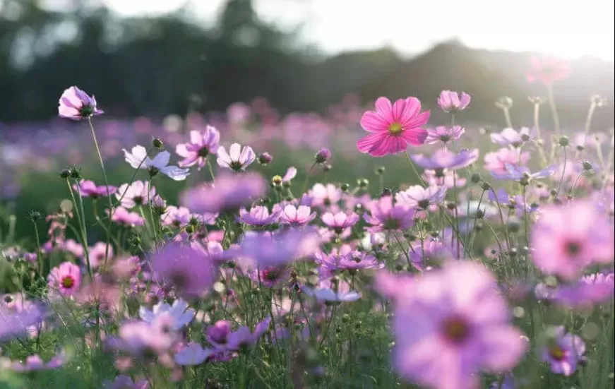 Primavera começa com frente fria, temporais e queda de temperatura em várias regiões do Brasil