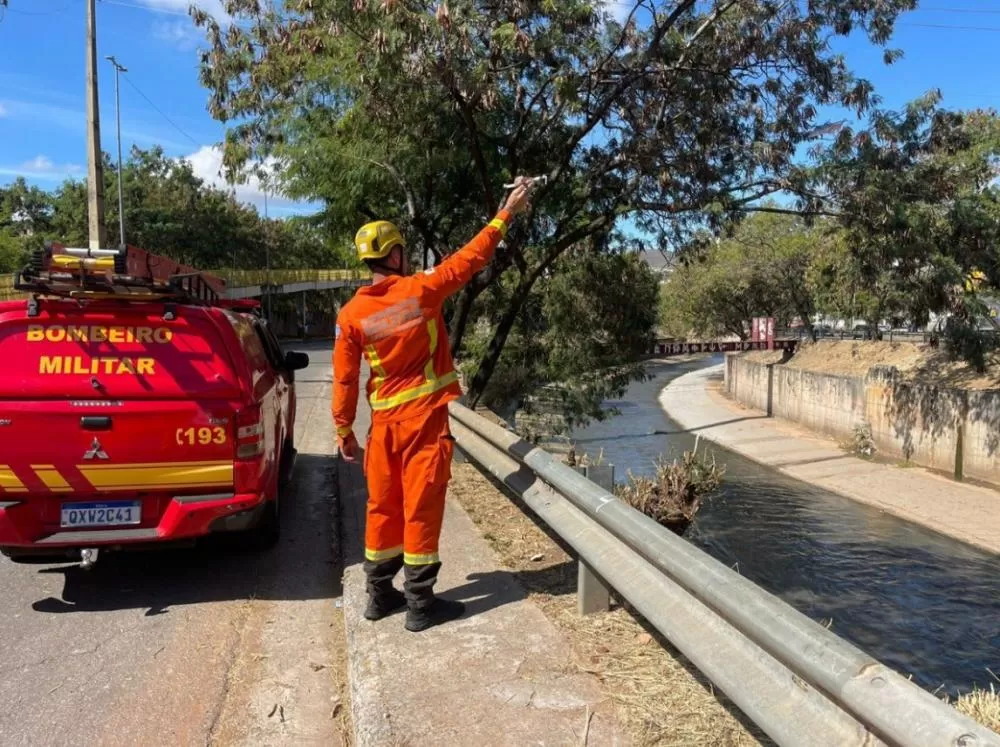 Homem cai no ribeirão Arrudas e é resgatado pelo Corpo de Bombeiros em BH